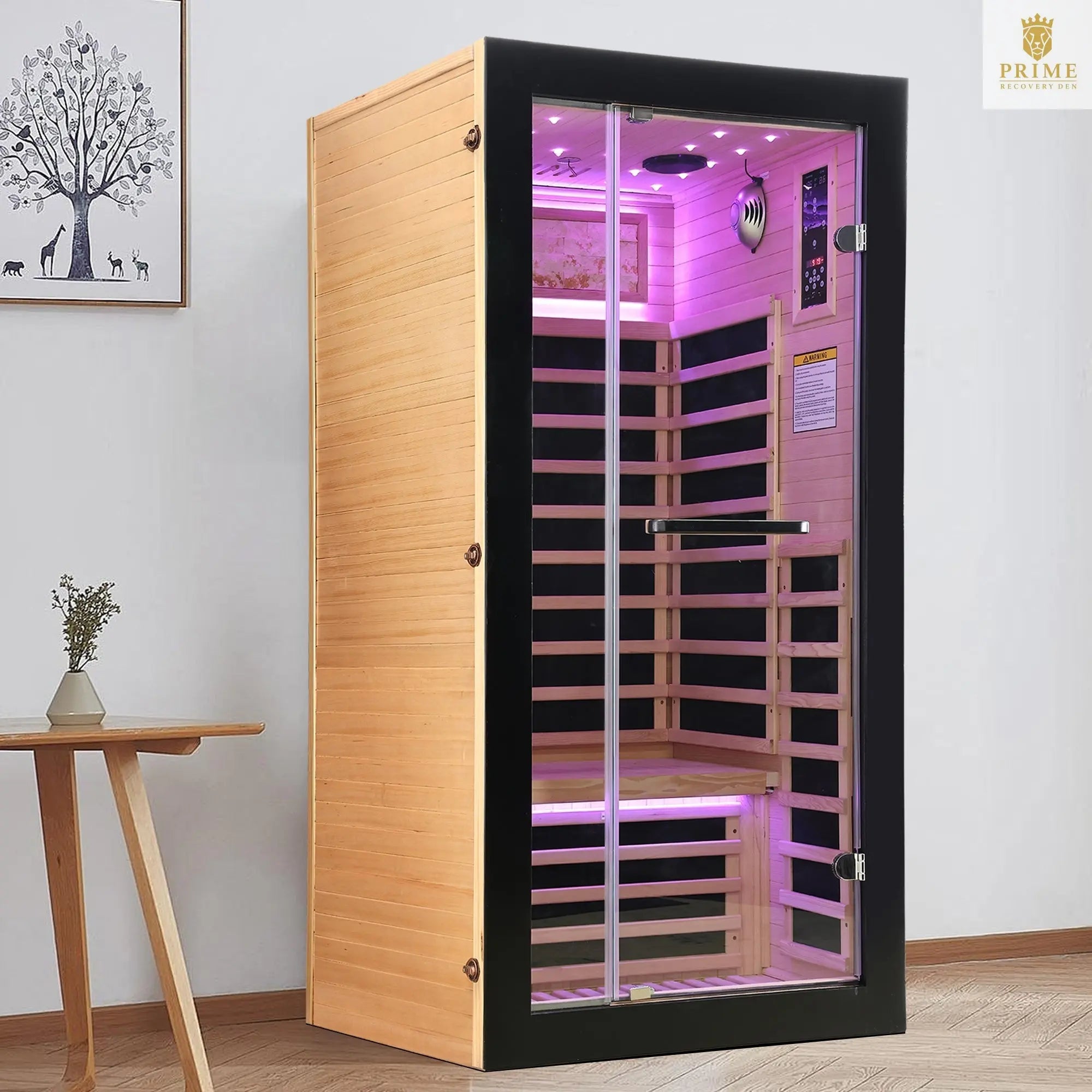Single-person starlight ceiling lighting sauna
