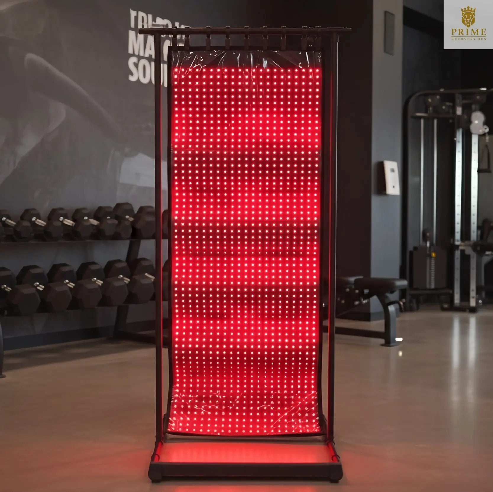 EnergyLounger Blanket – Full-Body Red & Infrared Light Therapy Blanket + FREE Travel carry case